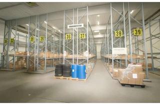 Lager mieten in 31028 Gronau, Kompakte 890 m² Hochhalle / Produktionshalle (7,20m) in Stahlbetonbauweise – Hell durch Lichtkuppeln