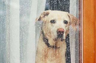 Haus kaufen in 15913 Märkische Heide, Freie Sicht inklusive! Haus & Grundstück im Unterspreewald!