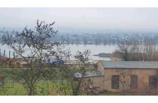 Haus kaufen in 55218 Ingelheim, Ingelheim am Rhein - 3-Zimmer-Wohnung mit Rheinblick zu verkaufen