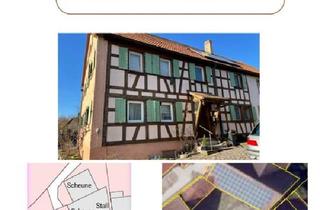 Bauernhaus kaufen in 91608 Geslau, Geslau - Haus Hofstelle Scheune Stall Garten