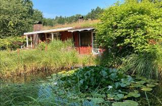 Haus kaufen in 25492 Heist, Heist - Außergewöhnliches Anwesen auf 7.000qm Grundstück in Heist