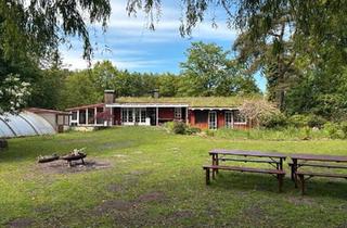 Haus kaufen in 25492 Heist, Heist - Außergewöhnliches Anwesen auf 7.000qm Grundstück in Heist