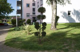 Wohnung mieten in 61381 Friedrichsdorf, Gemütliche, helle 2 Zimmer Wohnung mit großem Balkon