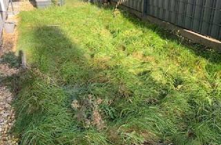 Wohnung mieten in Lindenweg 1 a, 52080 Haaren, Frisch renovierte Wohnung im EG mit kleinem Garten in Ac-Haaren