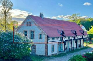 Lofts mieten in Serwester Dorfstraße 68, 16230 Chorin, Attraktive 1-Zimmer-Loft-Wohnung in Chorin/ OT Serwest