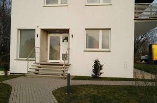 Wohnung mieten in Industriestraße, 32683 Barntrup, Helle 2-Zimmer Wohnung im EG mit Garten in Barntrup