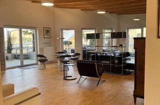 Penthouse mieten in 67346 Speyer, Luxuriöse Penthouse mit großer Dachterrasse und Domblick in Speyer