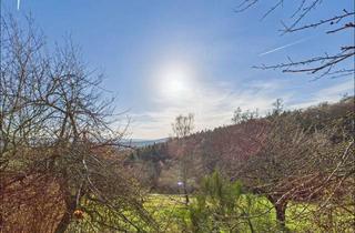 Haus kaufen in 63867 Johannesberg, Weitblick, Ruhe, Freiheit. Freuen Sie sich auf etwas Besonderes!