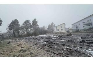 Haus kaufen in 78166 Donaueschingen, EXKLUSIVES ANGEBOT - Bauen mit Bien-Zenker - Susanne Pavaletz