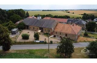 Haus kaufen in 01623 Lommatzsch, Charmantes denkmalgeschütztes Freigut mit Tiny House und genehmigten Sanierungsplänen