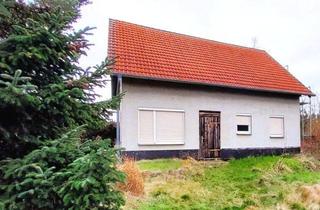 Einfamilienhaus kaufen in 04687 Trebsen, Einfamilienhaus im Rohbau auf großzügigem Doppelgrundstück mit Entwicklungspotenzial