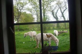 Haus kaufen in Wolfshörenweg, 27729 Holste, Oase für Pferdeliebhaber mit 3,5 Zimmern nahe Cuxland