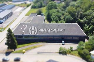 Gewerbeimmobilie mieten in 72477 Schwenningen, 1.275 m² Hallenfläche auf zwei Etagen mit Lastenaufzug - Anmietung von Teilflächen möglich
