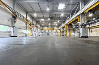 Gewerbeimmobilie mieten in 78056 Villingen-Schwenningen, Modern. Ebenerdig. Und maximal belastbar. Produktionshalle mit Krananlagen & 10 m Deckenhöhe