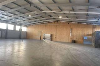 Büro zu mieten in Allinger Straße 10, 94474 Vilshofen, Warmhalle mit Bürotrakt zur Miete in Vilshofen