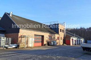 Gewerbeimmobilie mieten in 41372 Niederkrüchten, Arbeiten, Lagern, Organisieren – eine Gewerbefläche, viele Möglichkeiten