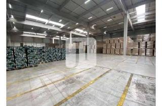 Büro zu mieten in 22113 Billbrook, ca. 9.386 m² Lager-/Logistikfläche sowie ca. 350 m² Büro-/Sozialflächen