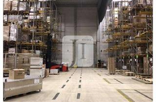 Büro zu mieten in 22113 Billbrook, ca. 7.209 m² große Lager-/Logistikfläche und ab ca. 138 m² bis ca. 599 m² Büro-/Sozialflächen