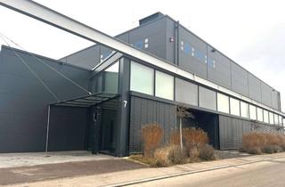 Büro zu mieten in 89129 Langenau, Neuwertige Hochregallagerhalle mit Büroetage in Gewerbelage von Langenau