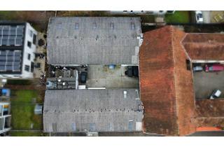 Büro zu mieten in 76829 Landau, Zwei Warmhallen mit Hof, Büro & direkter Zufahrt inkl. Lackier-/Trockenkabine