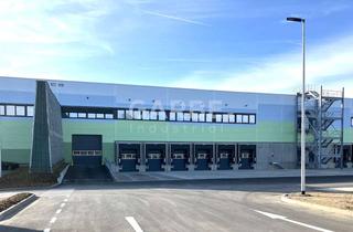 Gewerbeimmobilie mieten in 97355 Rüdenhausen, Direkt vom Eigentümer, provisionsfrei: ca. 13.300 m² Neubau-Logistikflächen