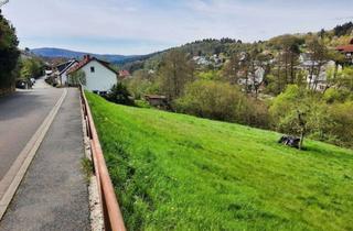 Grundstück zu kaufen in 69198 Schriesheim, Weg von der Großstadthektik - Zurück zur NaturBauplatz in Schriesheim-Altenbach