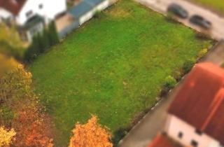 Grundstück zu kaufen in 85235 Odelzhausen, Baugrundstück in Odelzhausen