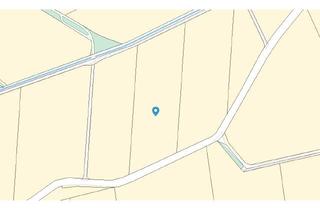 Grundstück zu kaufen in 93098 Mintraching, Attraktives landwirtschaftliches Grundstück in Mintraching zu verkaufen