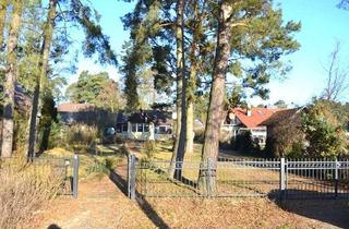 Grundstück zu kaufen in 15345 Altlandsberg, Baugrundstück in Eggersdorf - auch doppelte Fläche erwerblich