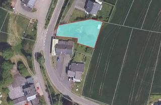 Grundstück zu kaufen in 54673 Karlshausen, Baugrundstück mit schöner Aussicht in Karlshausen