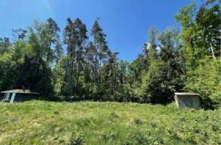 Grundstück zu kaufen in 90587 Obermichelbach, Idyllisches Baugrundstück für Ihr Traumhaus am Waldrand in Obermichelbach-Rothenberg