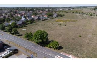 Grundstück zu kaufen in 38536 Meinersen, Meinersen Ortseingang Gifhorner Straße * 27.118 qm großes Grundstück