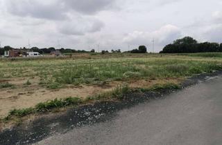 Grundstück zu kaufen in 49549 Ladbergen, Baugrundstück