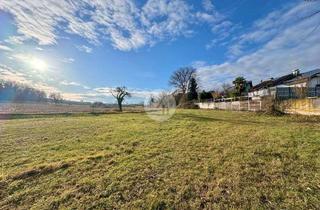 Grundstück zu kaufen in 79331 Teningen, Kurzfristig verfügbar! Sonniges Baugrundstück in Südlage – Ruhe, Natur & unverbaubarer Ausblick in T