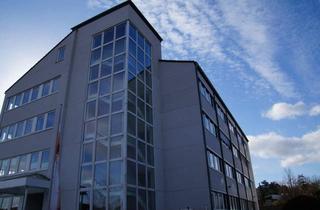 Büro zu mieten in Auf Der Krautweide 32, 65812 Bad Soden, klimatisierte Bürofläche