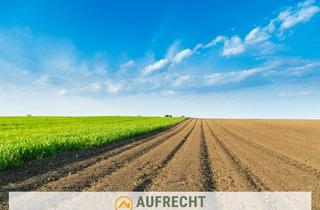 Gewerbeimmobilie kaufen in 85305 Jetzendorf, A U F R E C H T °1,45 ha LNF° in der Gmd. Jetzendorf - weitere Flächen verfügbar - OBERFELD