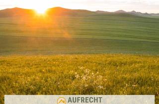 Gewerbeimmobilie kaufen in 85305 Jetzendorf, A U F R E C H T °0,46 ha LNF in der Gmd. Jetzendorf° TRIEFING
