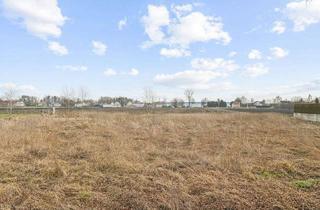 Gewerbeimmobilie kaufen in 86669 Königsmoos, Großzügiges Baugrundstück in ruhiger Donaumooslage – 1.202 m² in Königsmoos-Klingsmoos