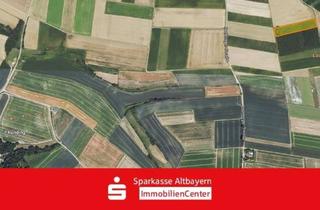 Gewerbeimmobilie kaufen in 86666 Burgheim, Landwirtschaftliche Fläche in der Gemarkung Burgheim