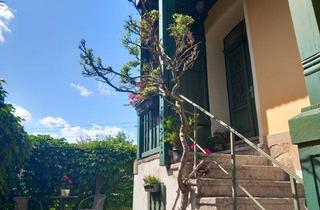 Wohnung mieten in 08451 Crimmitschau, Wohnen am Park: gepflegte 2-Zimmer Wohnung mit Keller und Abstellkammer, Hochparterre