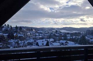 Wohnung mieten in Wilhelm-Baur-Straße 26, 64678 Lindenfels, 3 Zimmer DG-Wohnung mit wunderschönem Weitblick