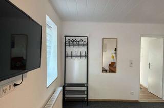 Wohnung mieten in Steinfurther Straße, 35519 Rockenberg, Exklusive 2-Raum-Wohnung in Rockenberg