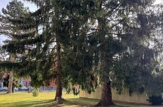 Wohnung mieten in Wellenburger Str. 6a, 86199 Göggingen, Neu renovierte 3-Zimmer-Wohnung mit Einbauküche und Garten