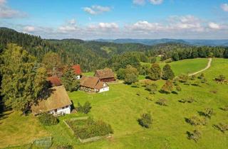 Haus kaufen in 77761 Schiltach, Außergewöhnliches Hofanwesen in Schiltach