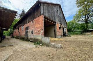 Haus kaufen in 88487 Mietingen, Pferdehof mit Außenboxen, Offenstall & Reitplatz
