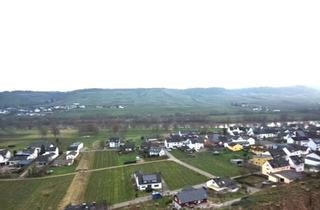 Haus kaufen in 54518 Kesten, Mosel | 160m² | Ferienimmobilie