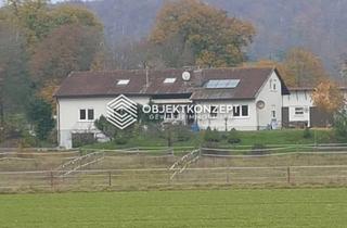 Haus kaufen in 89537 Giengen, Provisionsfrei! 3-Familienhaus mit 3.600 m² Oase in der Natur + 12.600 m² Erbpachtgrundstück