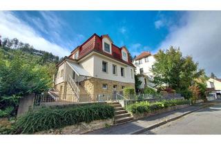 Villa kaufen in 38642 Goslar, Stadtvilla nach neuem Standard saniert