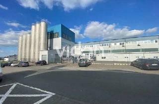 Gewerbeimmobilie mieten in 51789 Lindlar, LAGER | PRODUKTION | BÜRO | EBENERDIG | VIDAN REAL ESTATE