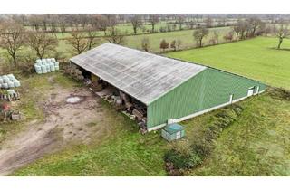 Gewerbeimmobilie mieten in 25729 Windbergen, Mehrzweckhalle – bisher landwirtschaftlich genutzt, inkl. Land zu verpachten